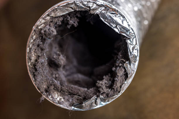 Best Dryer Vent Cleaning Services  in Paulding, OH